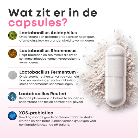 Vaginale Probiotica