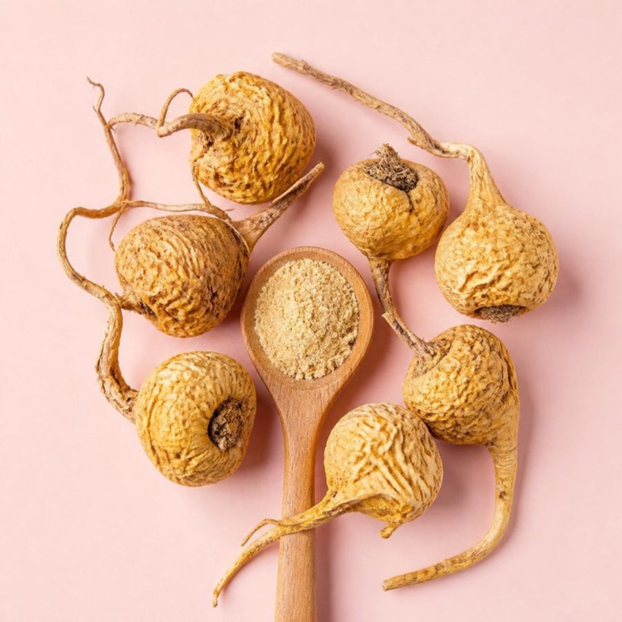 Maca-extract